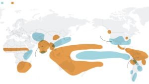 The Strongest El Niño in a Generation Is Rewriting the Global Economy